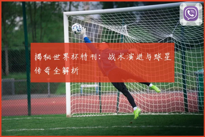 揭秘世界杯特刊：战术演进与球星传奇全解析